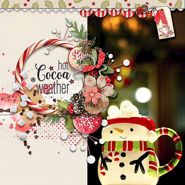 Cocoa Cup