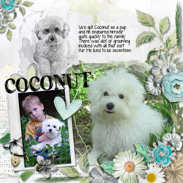 Coconut