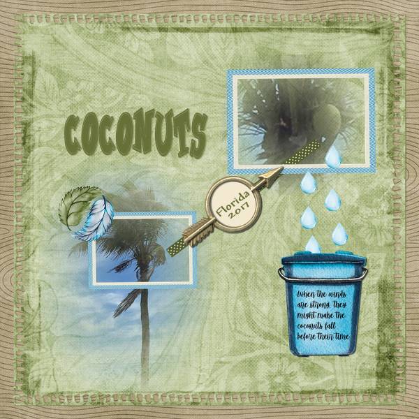 Coconuts