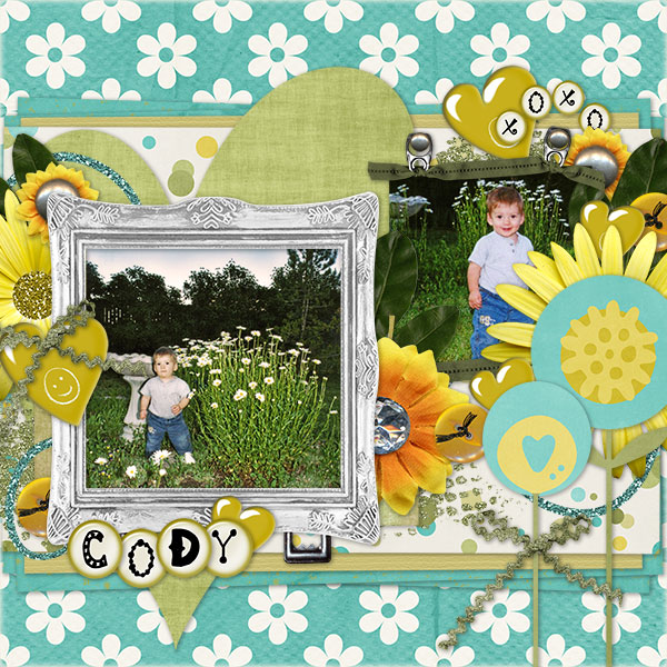 Cody in the Daisies