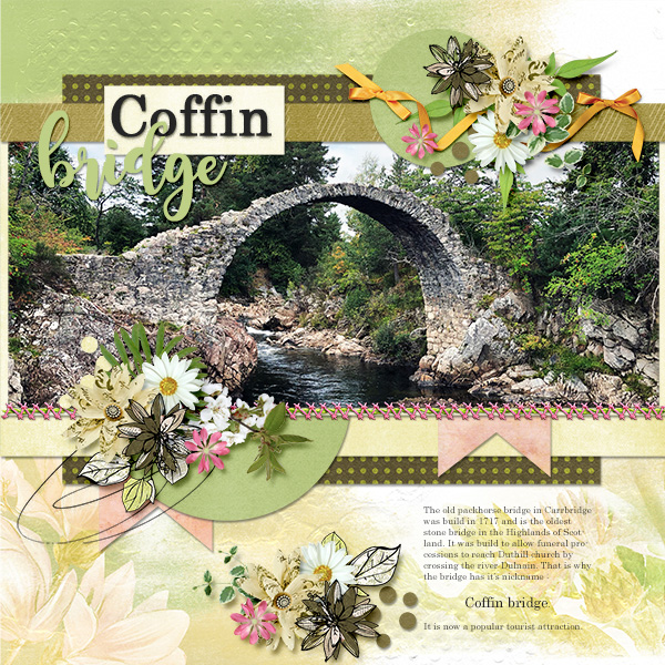 Coffin bridge