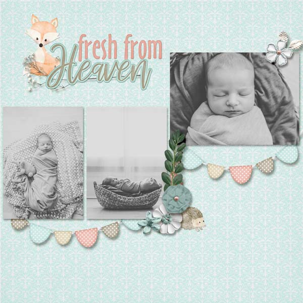 Colby