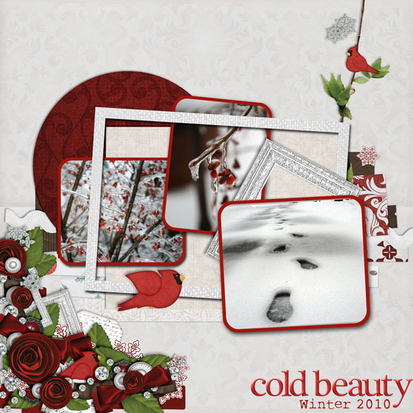 Cold Beauty