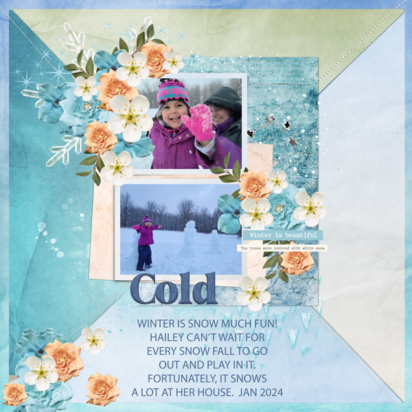 COLD-BUFFET - 5-24