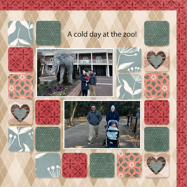 Cold Day at the Zoo