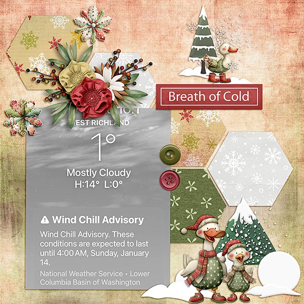 Cold.jpg
