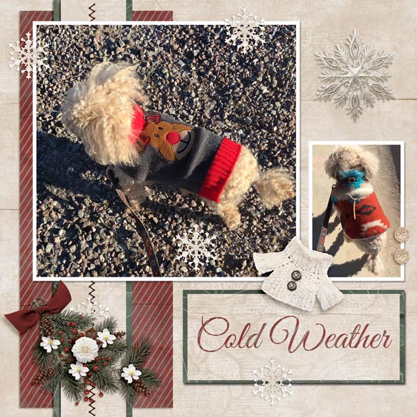 Cold Weather