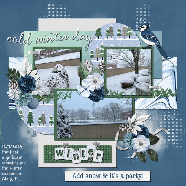 Cold Winter Day