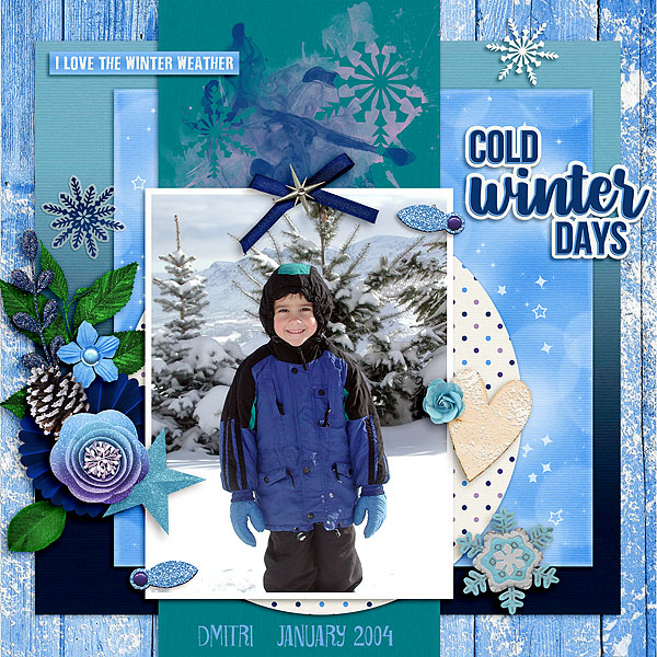Cold Winter Days