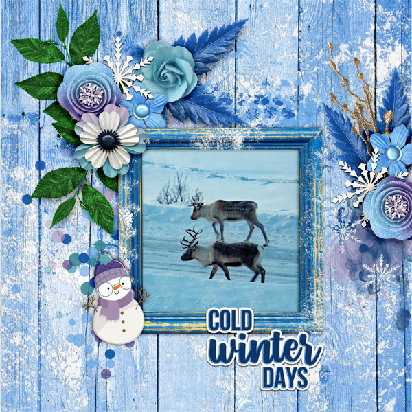 Cold-winter-days