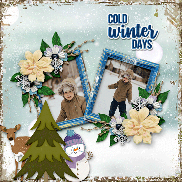 Cold Winter Days