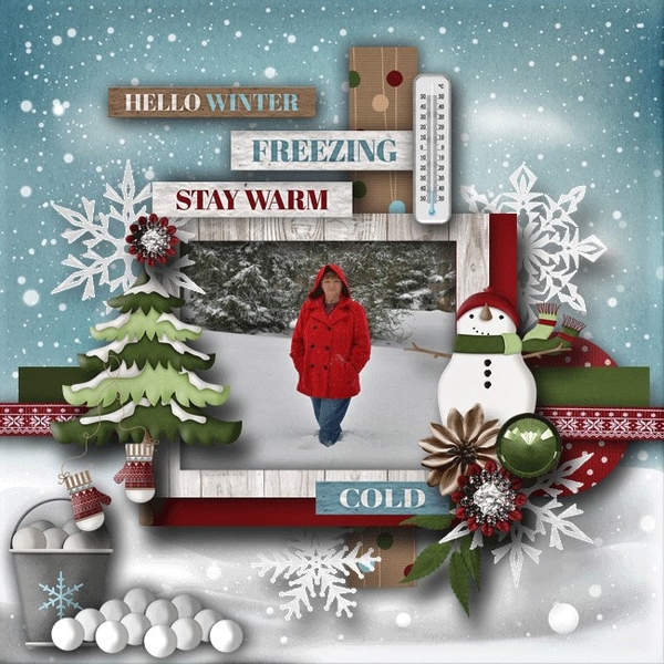 Cold Winter