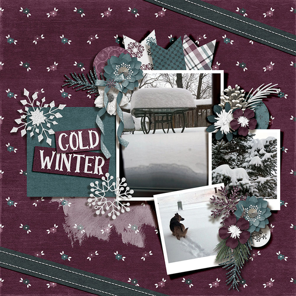 Cold Winter