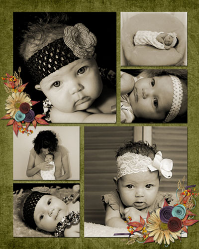 collage for Siena