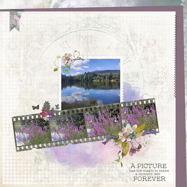 collect beautiful memories