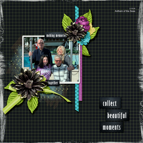 Collect Beautiful Moments