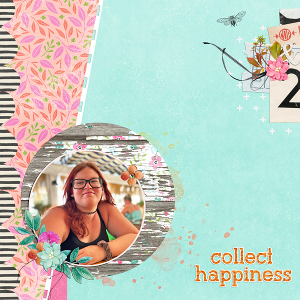 collect happiness 2023