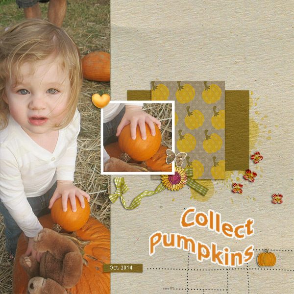 Collect Pumpkins