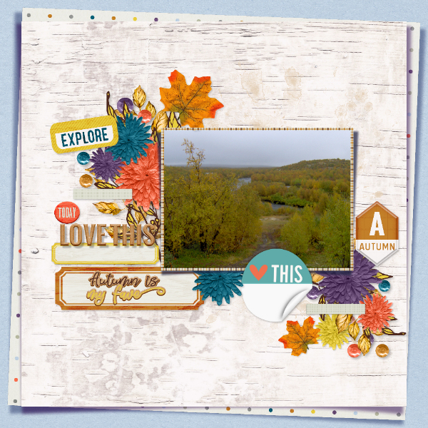 Collect_moments_Autumn1
