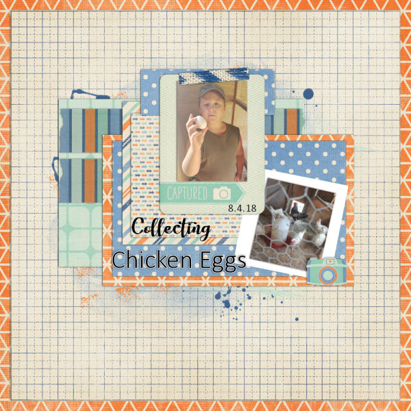 Collecting Chicken Eggs