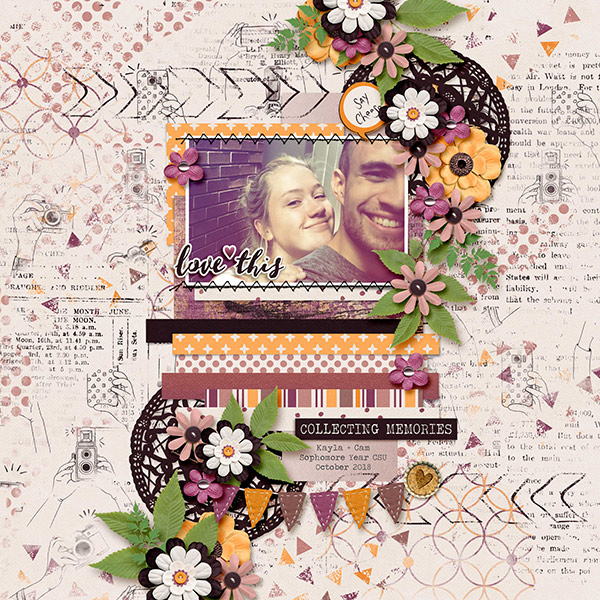 Collecting Memories