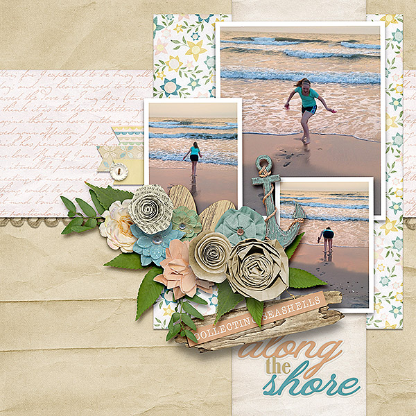 Collecting Seashells