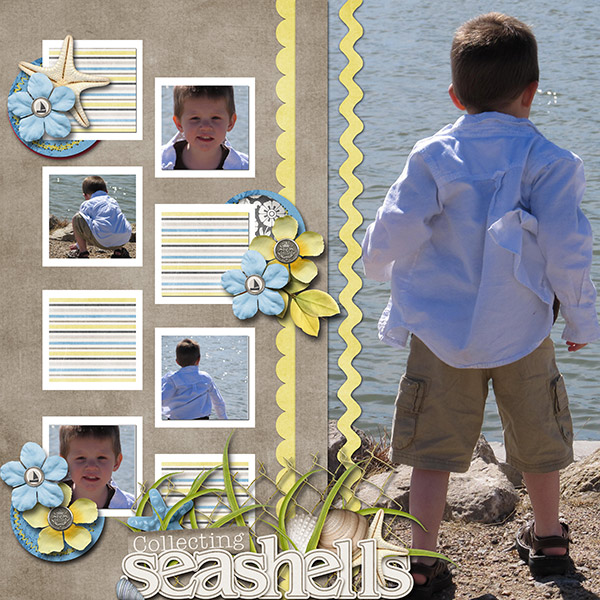 Collecting Seashells