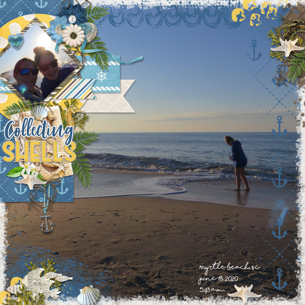 Collecting Shells