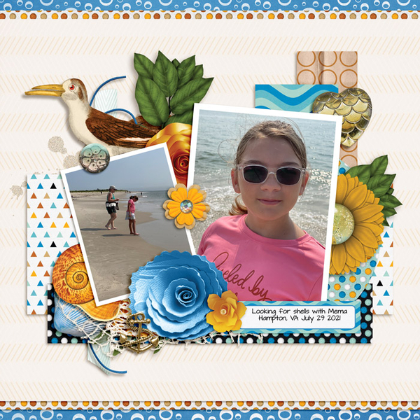 Collecting Shells