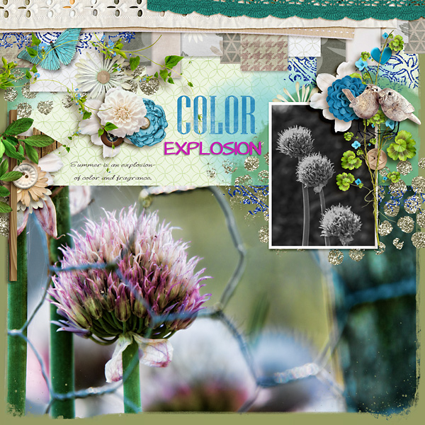 Color Explosion