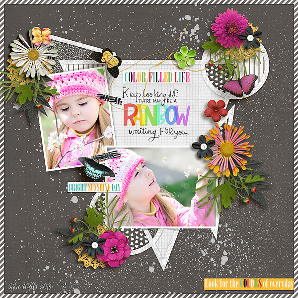 color filled life