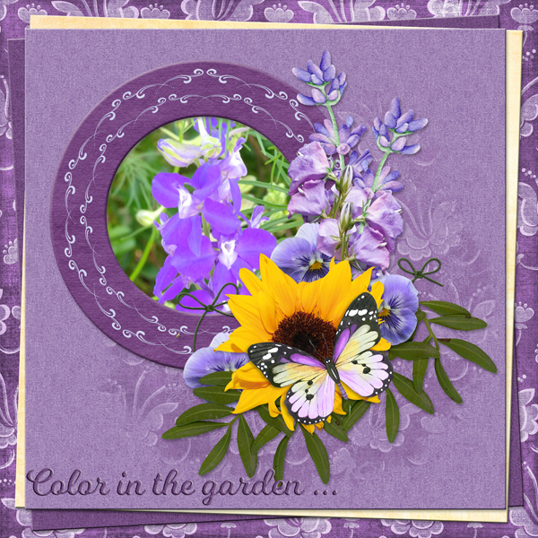 Color in the garden ...