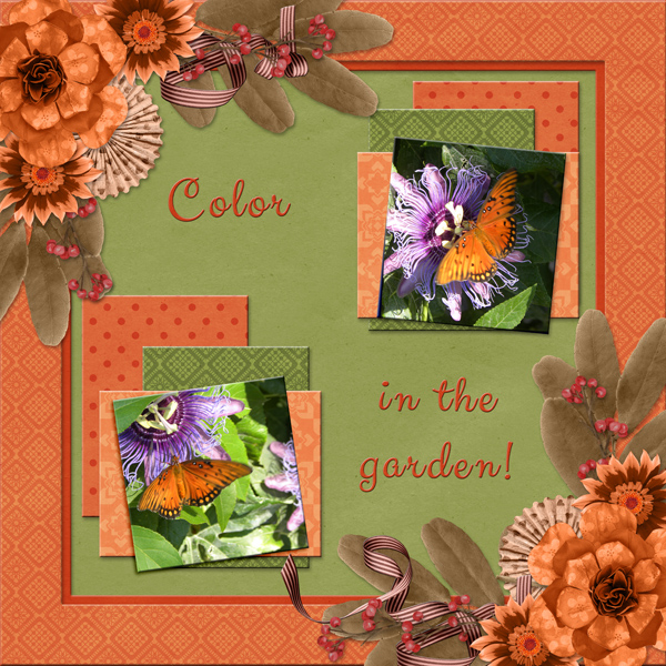 Color in the garden