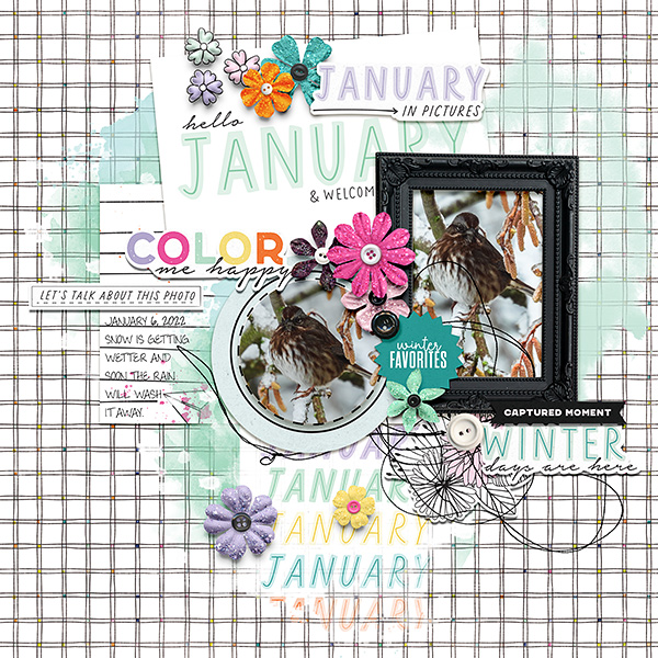 Color Me Happy