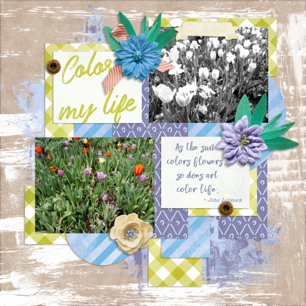 Color my life