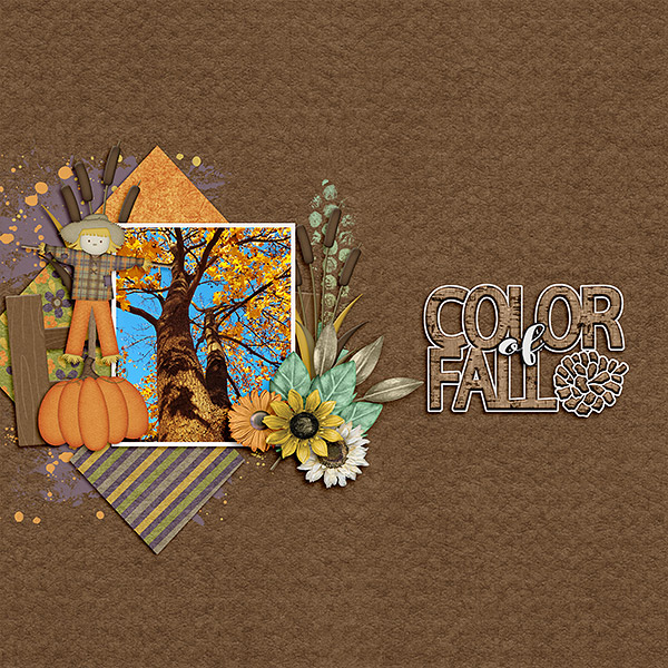 Color of Fall