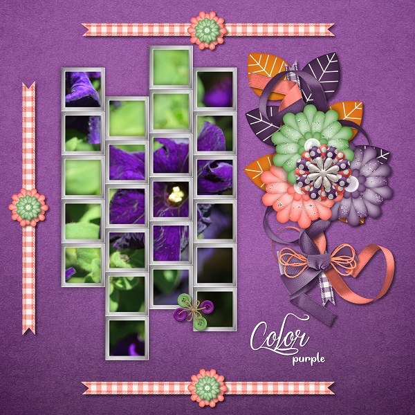 Color Purple