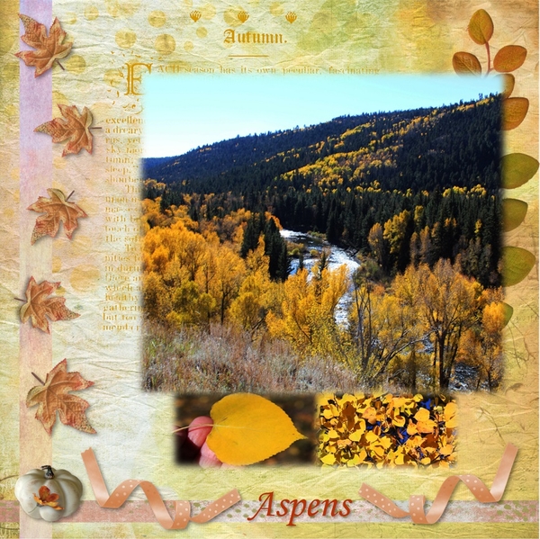 Colorado Aspens
