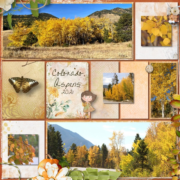 Colorado Aspens