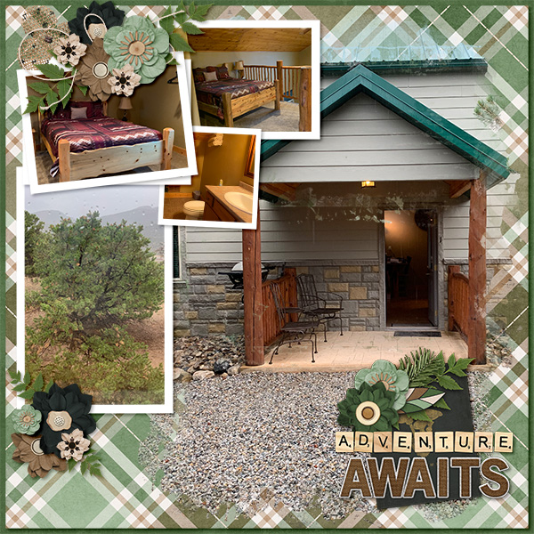 Colorado Cabin