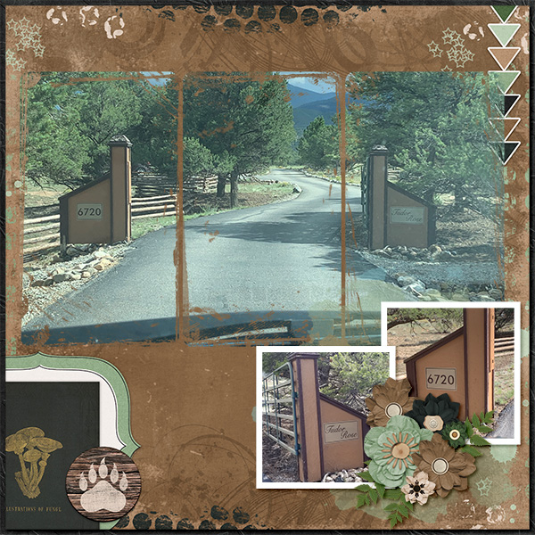 Colorado Cabin