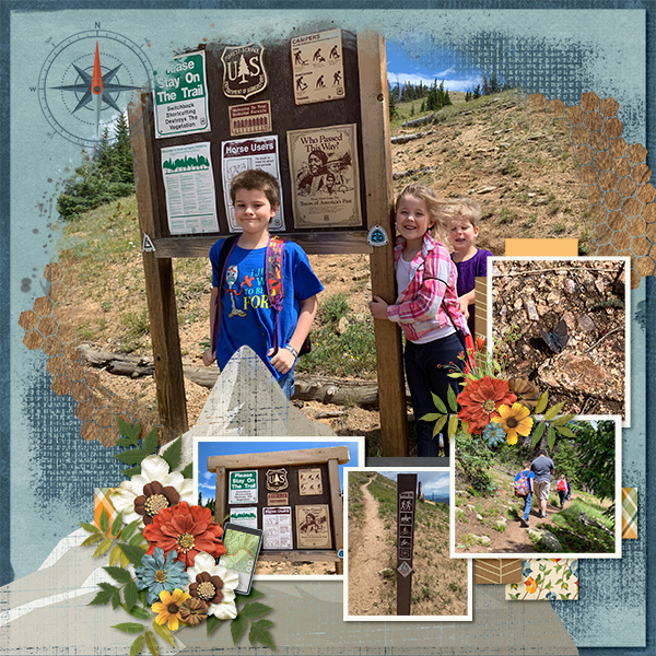 Colorado Hike
