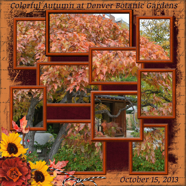 Colorful Autumn at Denver Botanic Gardens