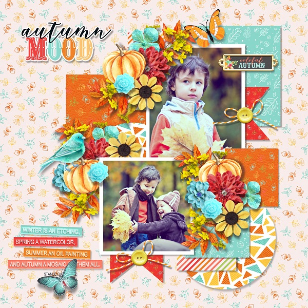 Colorful autumn