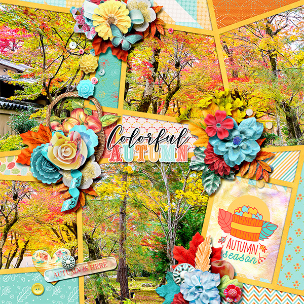 Colorful autumn