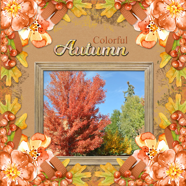 Colorful Autumn