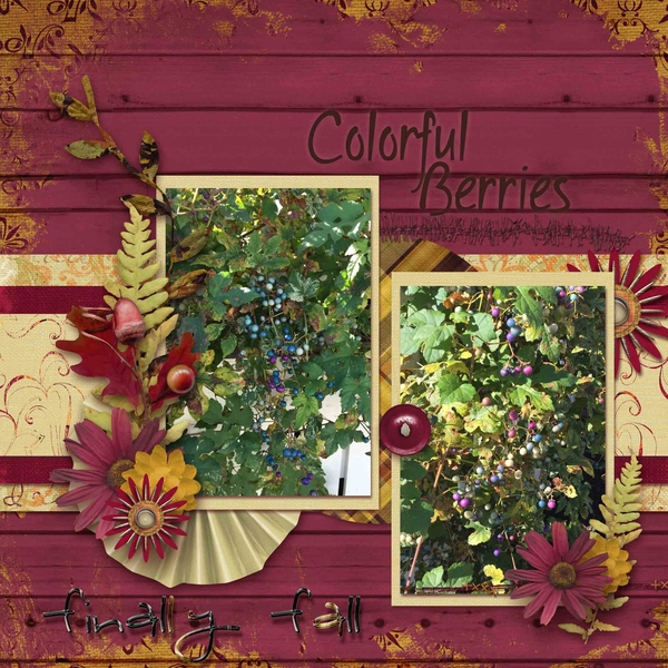 Colorful Berries