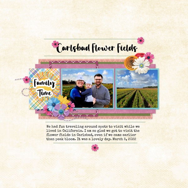Colorful Flower Fields