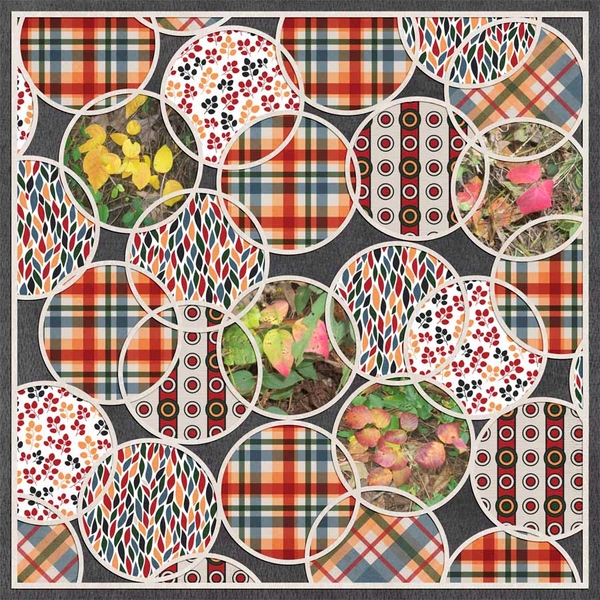 Colorful Leaves