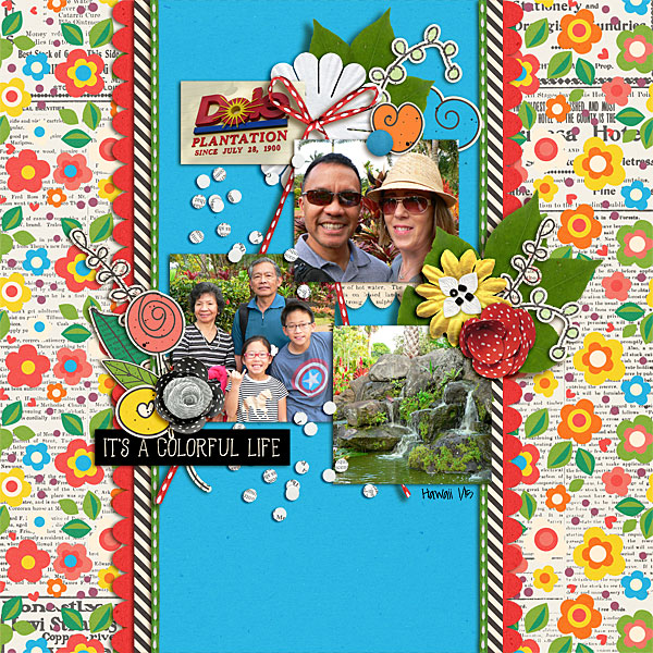 Colorful Life